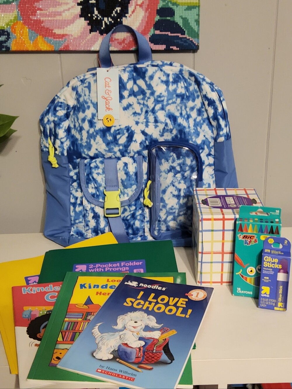 Cat & Jack Kids Backpack Bundle